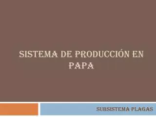 sistema de producci n en papa