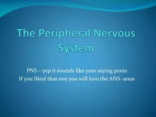 The Peripheral Nervous System