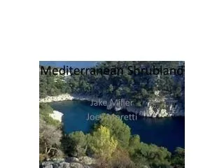 Mediterranean Shrubland