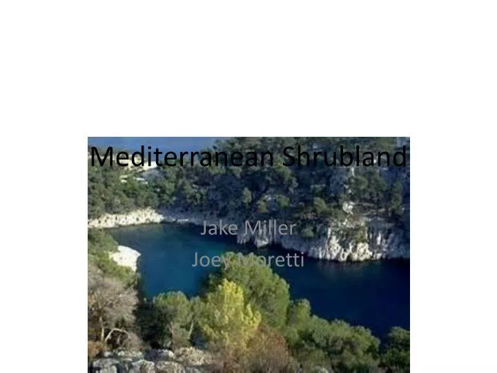 mediterranean shrubland
