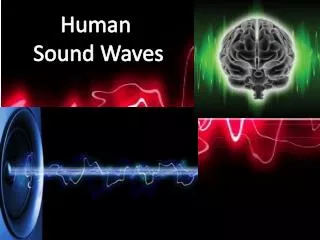 Human Sound Waves