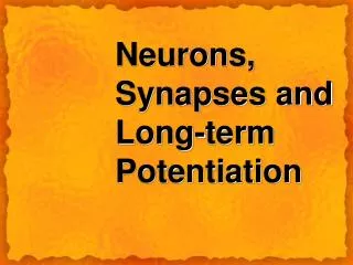Neurons, Synapses and Long-term Potentiation