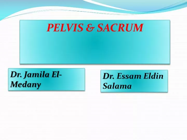 pelvis sacrum