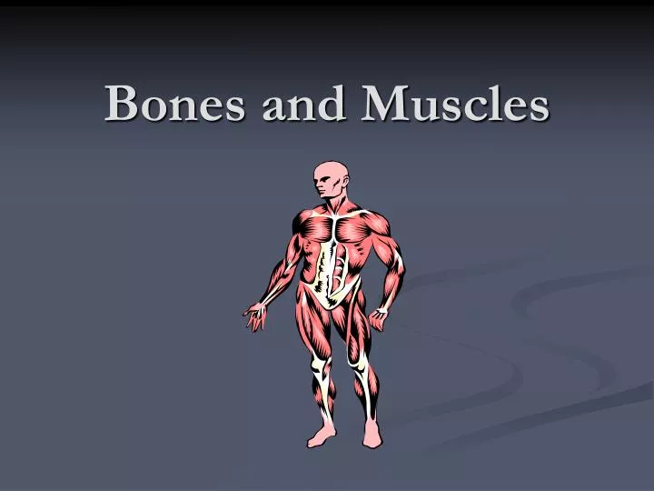 bones and muscles