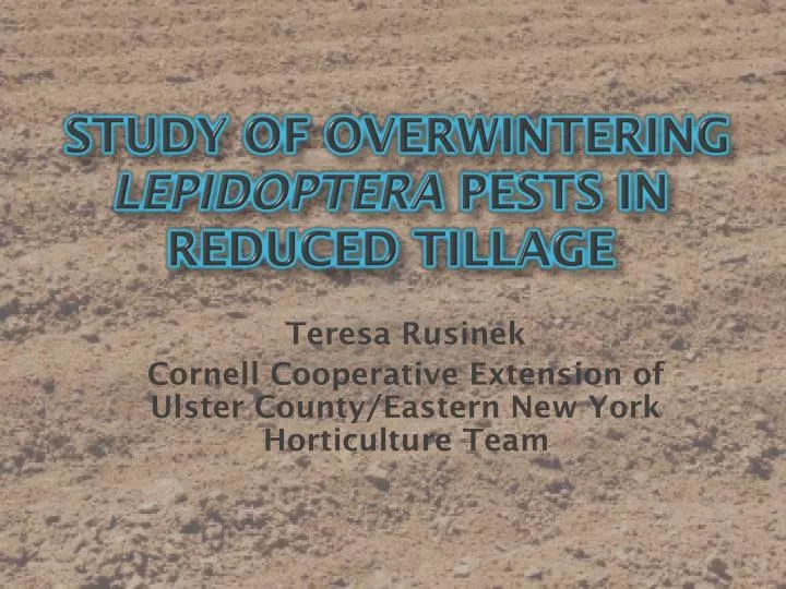 study of overwintering lepidoptera pests in reduced tillage