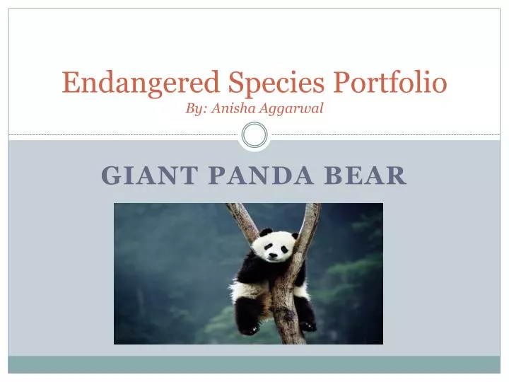 endangered species portfolio by anisha aggarwal