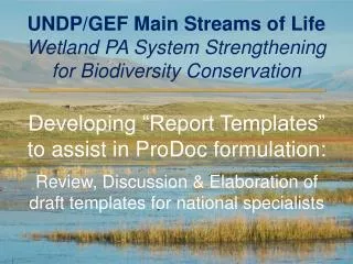 UNDP/GEF Main Streams of Life Wetland PA System Strengthening for Biodiversity Conservation