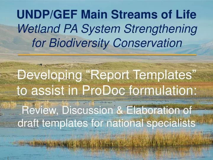 undp gef main streams of life wetland pa system strengthening for biodiversity conservation