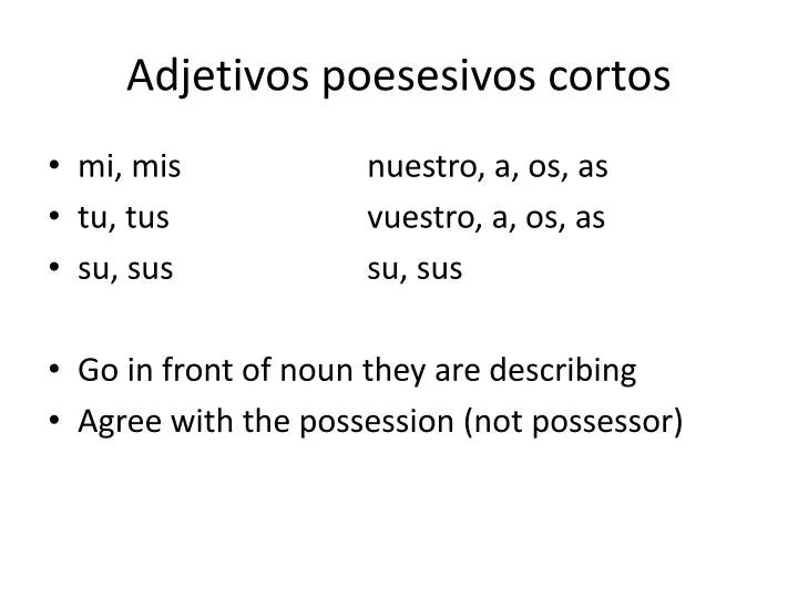 adjetivos poesesivos cortos