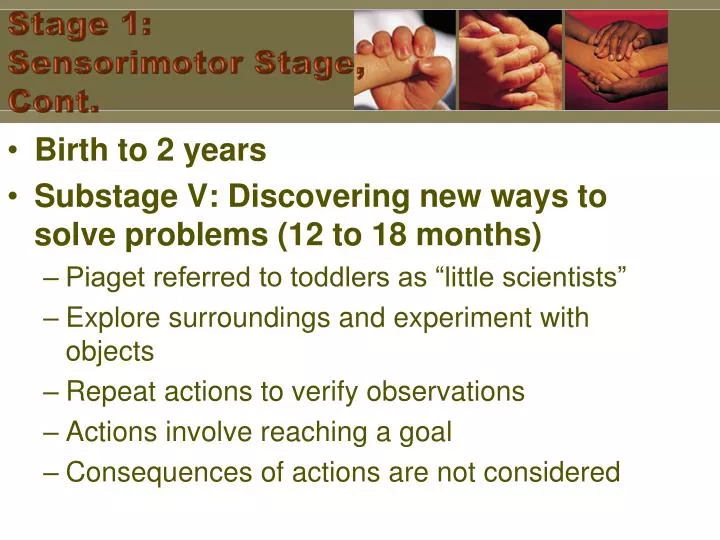 stage 1 sensorimotor stage cont
