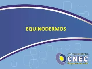 equinodermos