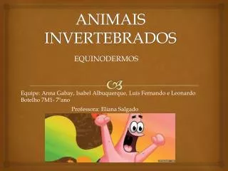 animais invertebrados