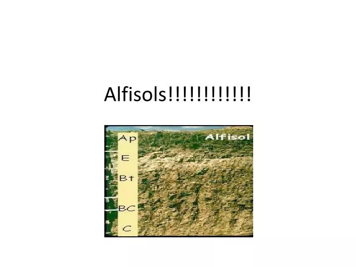 alfisols