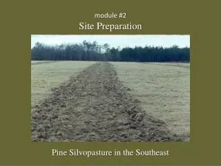 module #2 Site Preparation