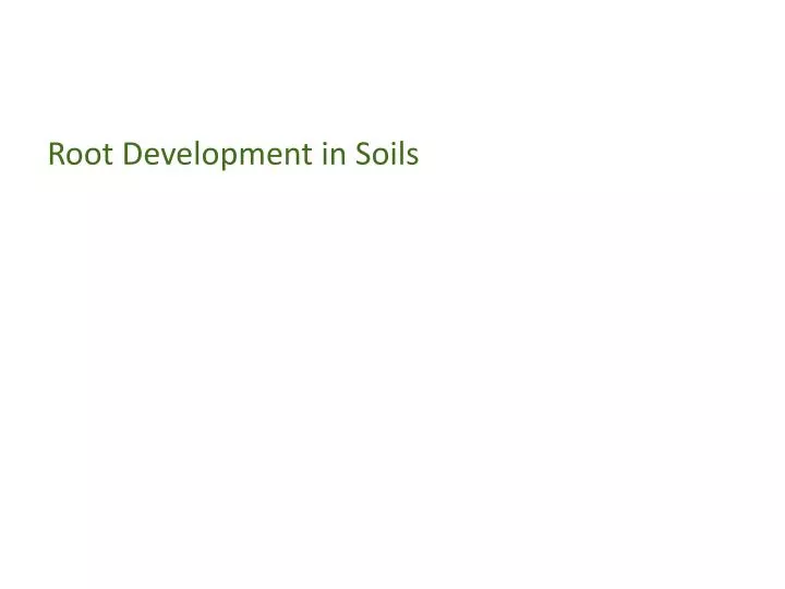 root development in soils