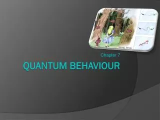 Quantum Behaviour