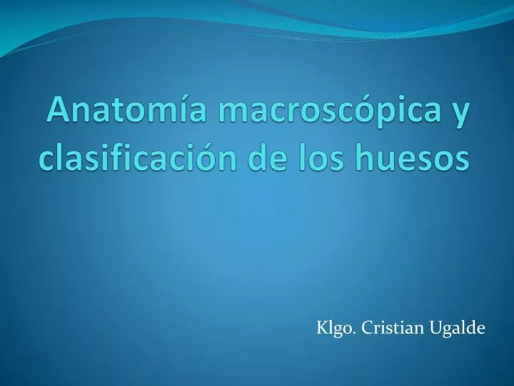 anatom a macrosc pica y clasificaci n de los huesos