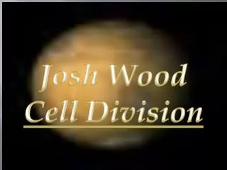 Josh Wood Cell Division