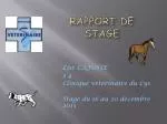 Rapport de stage - slide 1