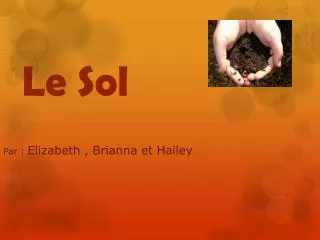 le sol
