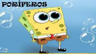por feros