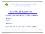 PROGRAMA DE ESTUDIOS - slide 1