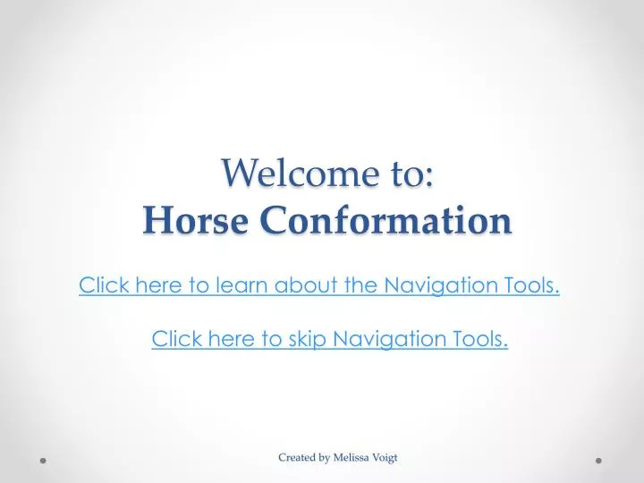welcome to horse conformation