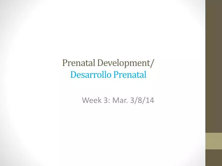 prenatal development desarrollo prenatal