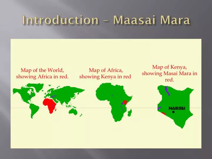 introduction maasai mara