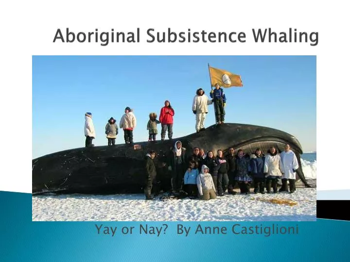 aboriginal subsistence whaling
