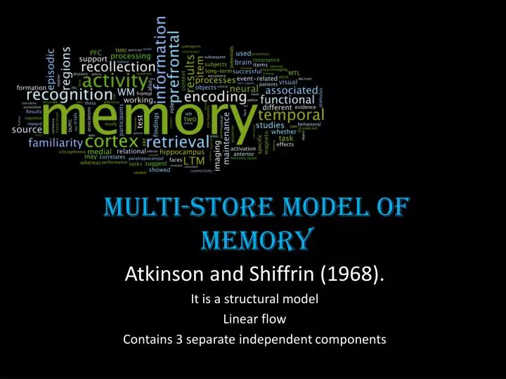 multi store model of memory