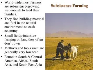 Subsistence Farming