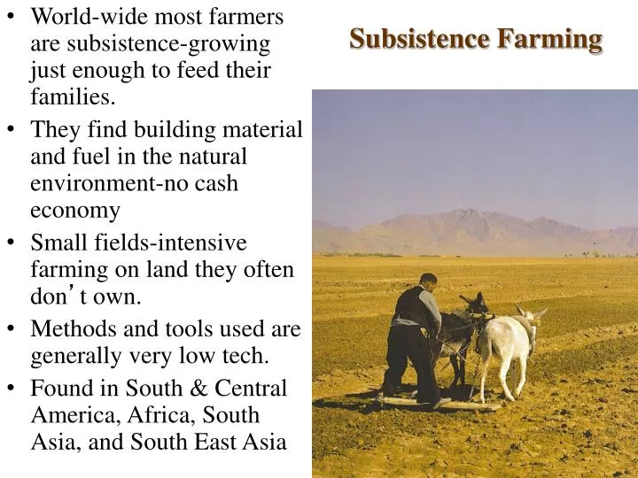 subsistence farming