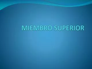 miembro superior