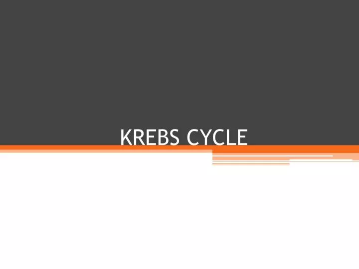 krebs cycle