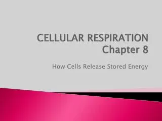 CELLULAR RESPIRATION Chapter 8