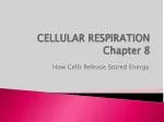 Understanding Cellular Respiration: Mitochondria, Energy Pathways, and Metabolic Disorders - slide 1
