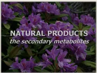 NATURAL PRODUCTS the secondary metabolites