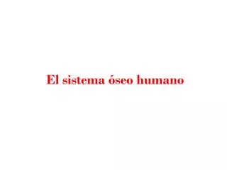 el sistema seo humano