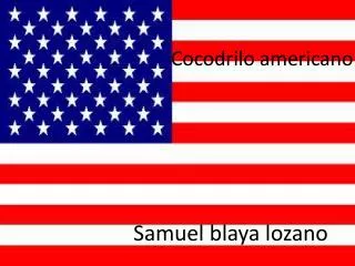 cocodrilo americano