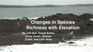 Changes in Species Richness with Elevation