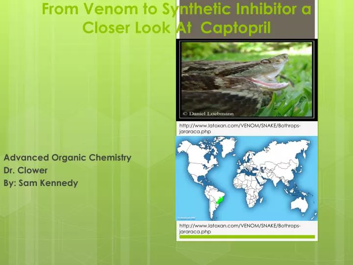 from venom to synthetic inhibitor a closer l ook a t captopril