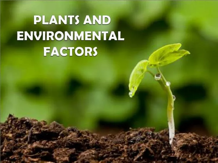 plants and environmental factors