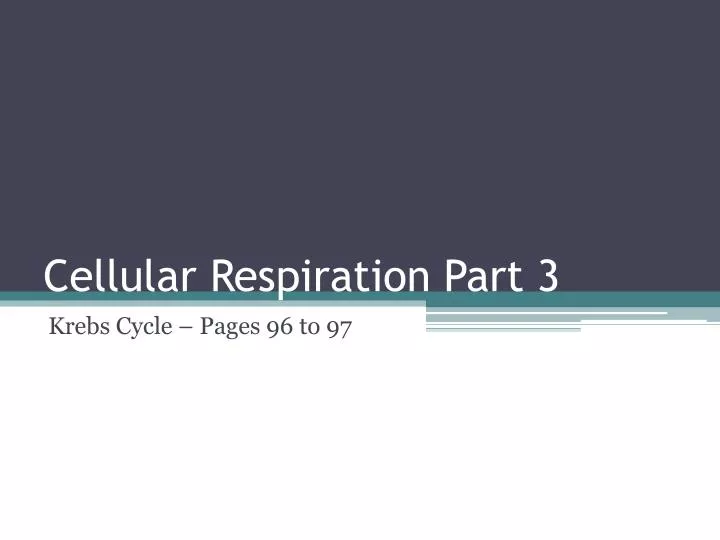 cellular respiration part 3