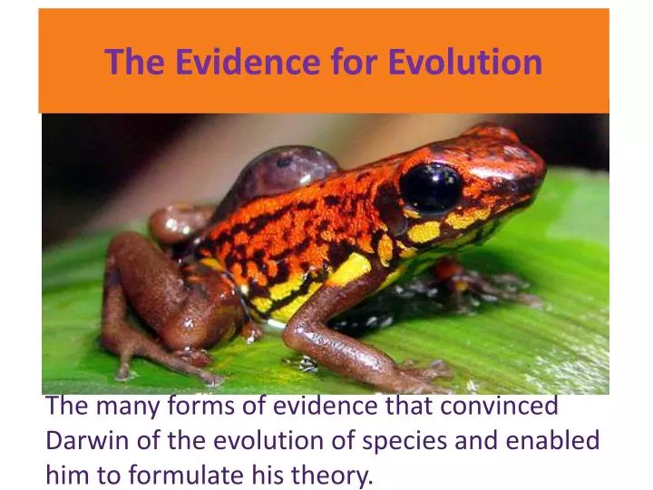the evidence for evolution