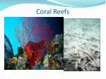 Coral Reefs - slide 1