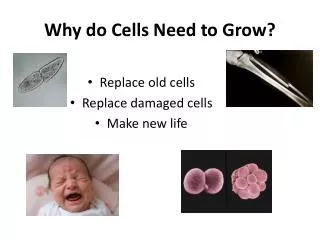 Why do Cells Need to Grow?