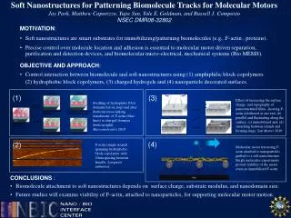 Soft Nanostructures for Patterning Biomolecule Tracks for Molecular Motors