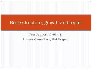 Bone structure, growth and repair