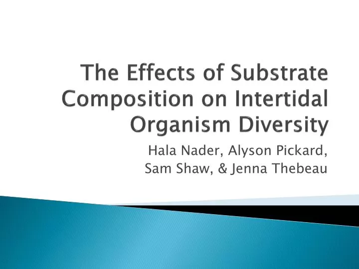 the effects of substrate composition on intertidal organism diversity